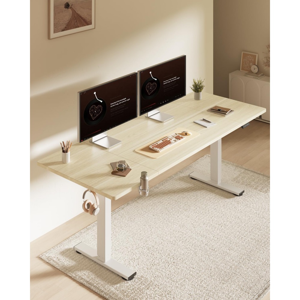 FLEXISPOT 63x32 Inch Electric  - Desk Setup Workspace review and price